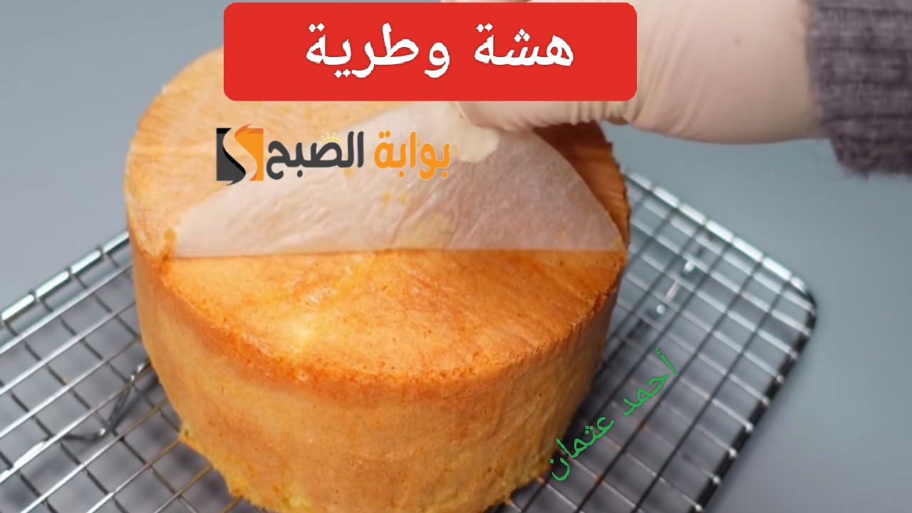 IMG ٢٠٢٤٠٧٢١ ٢٠٠٨٤٨