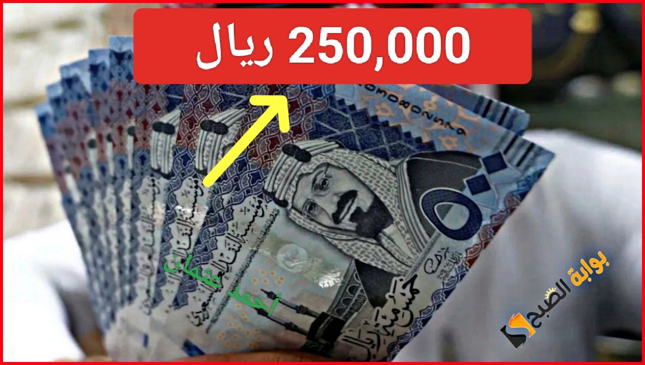 IMG ٢٠٢٤٠٧٢٩ ١٢١٤٥٤
