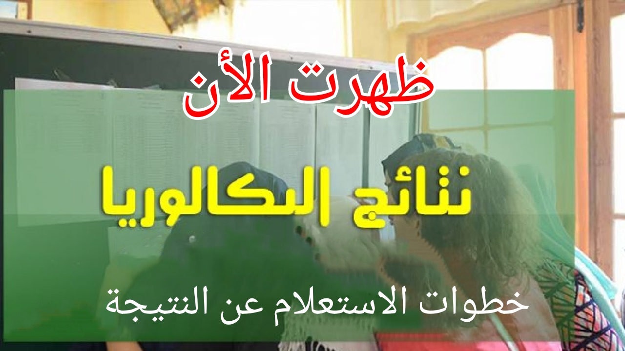 نتائج البكالوريا 2024