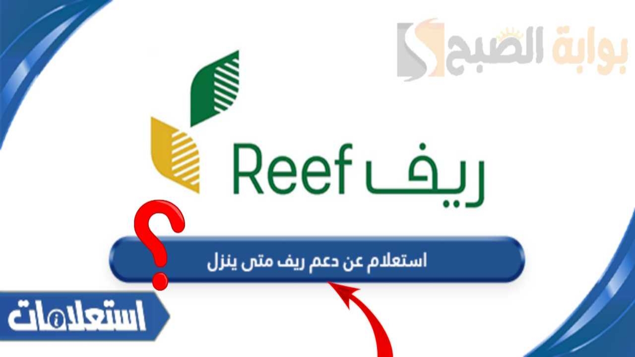 استعلام عن دعم ريف