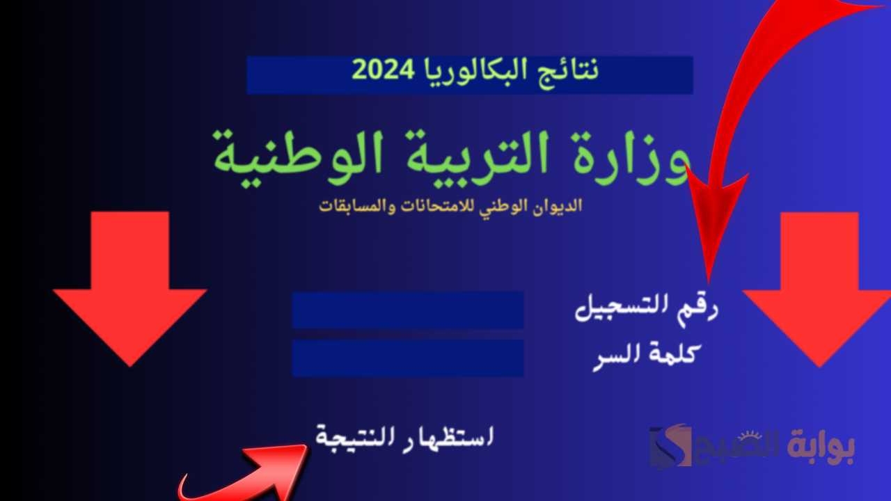 نتائج البكالوريا 2024 الجزائر