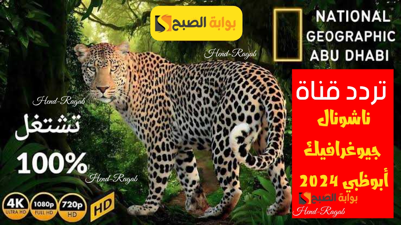 T401721828959876