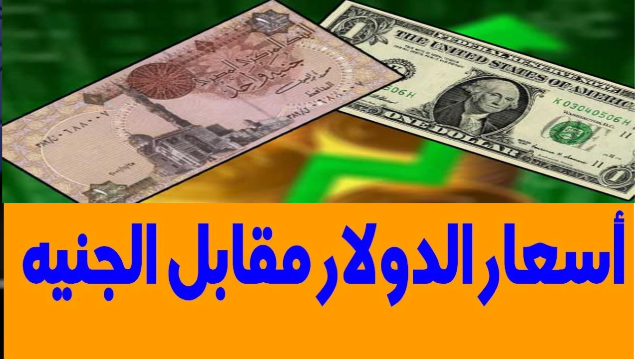 سعر الدولار اليوم مقابل الجنيه المصري