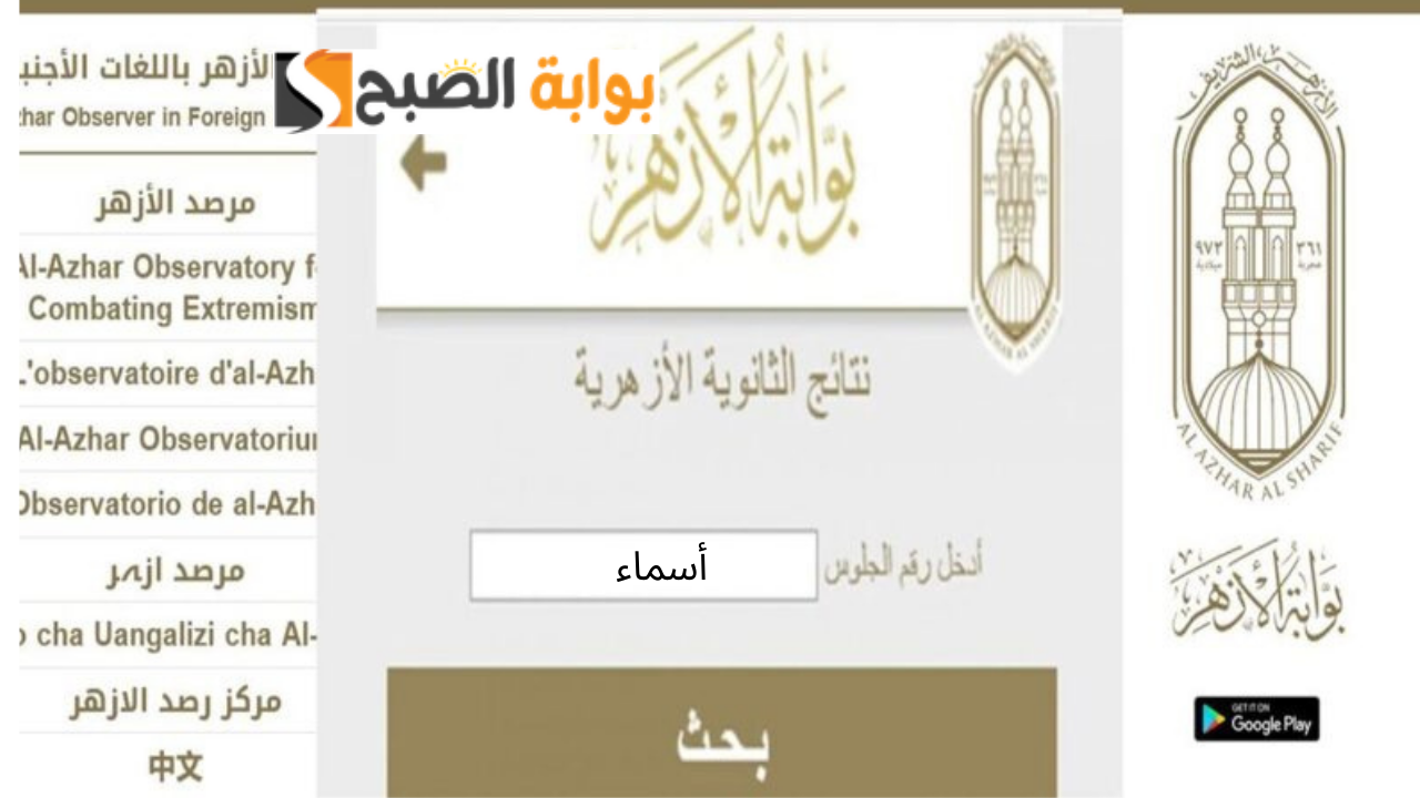 نتيجه الثانويه الازهريه 2024 بالاسم