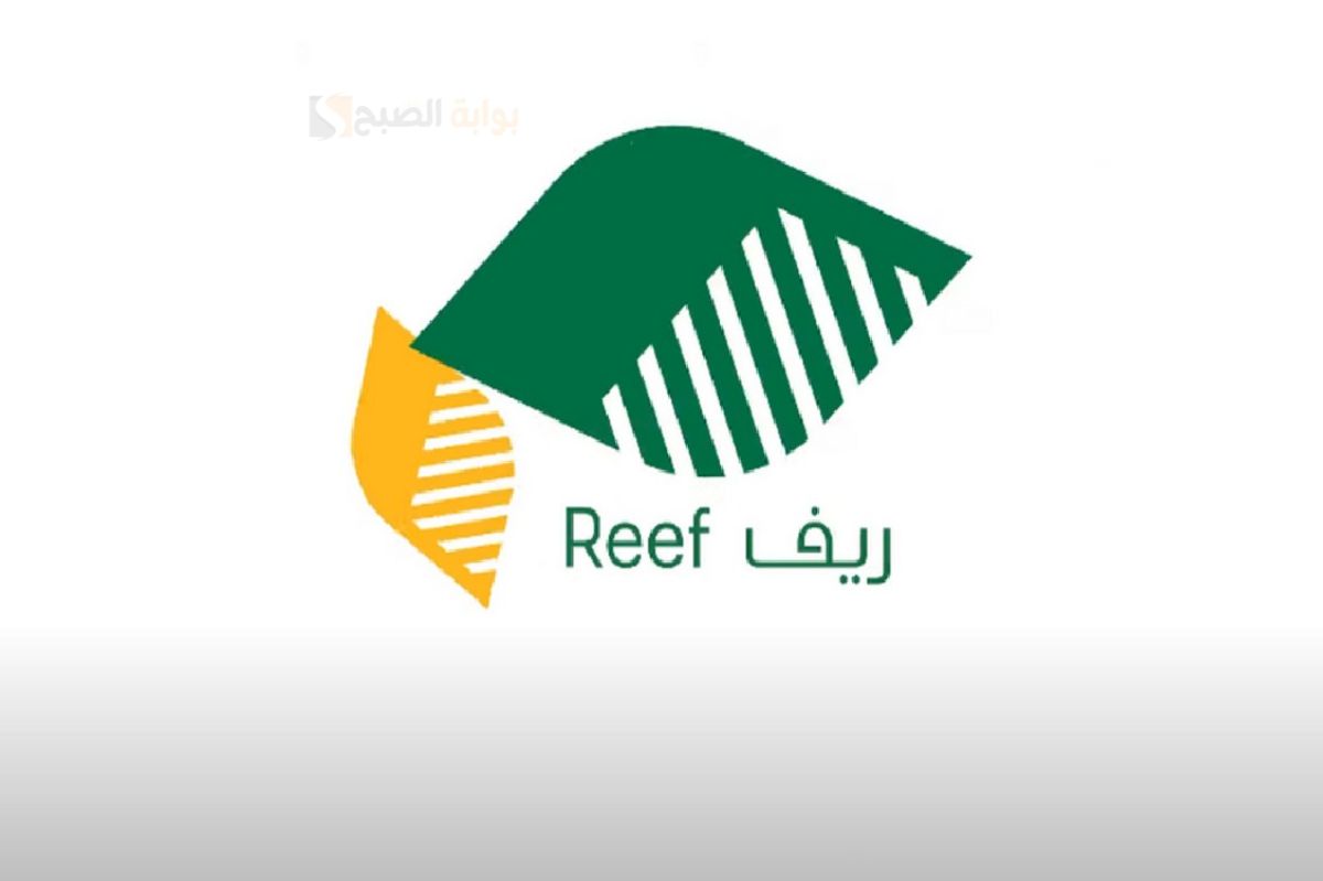أسماء المستفيدين من دعم ريف