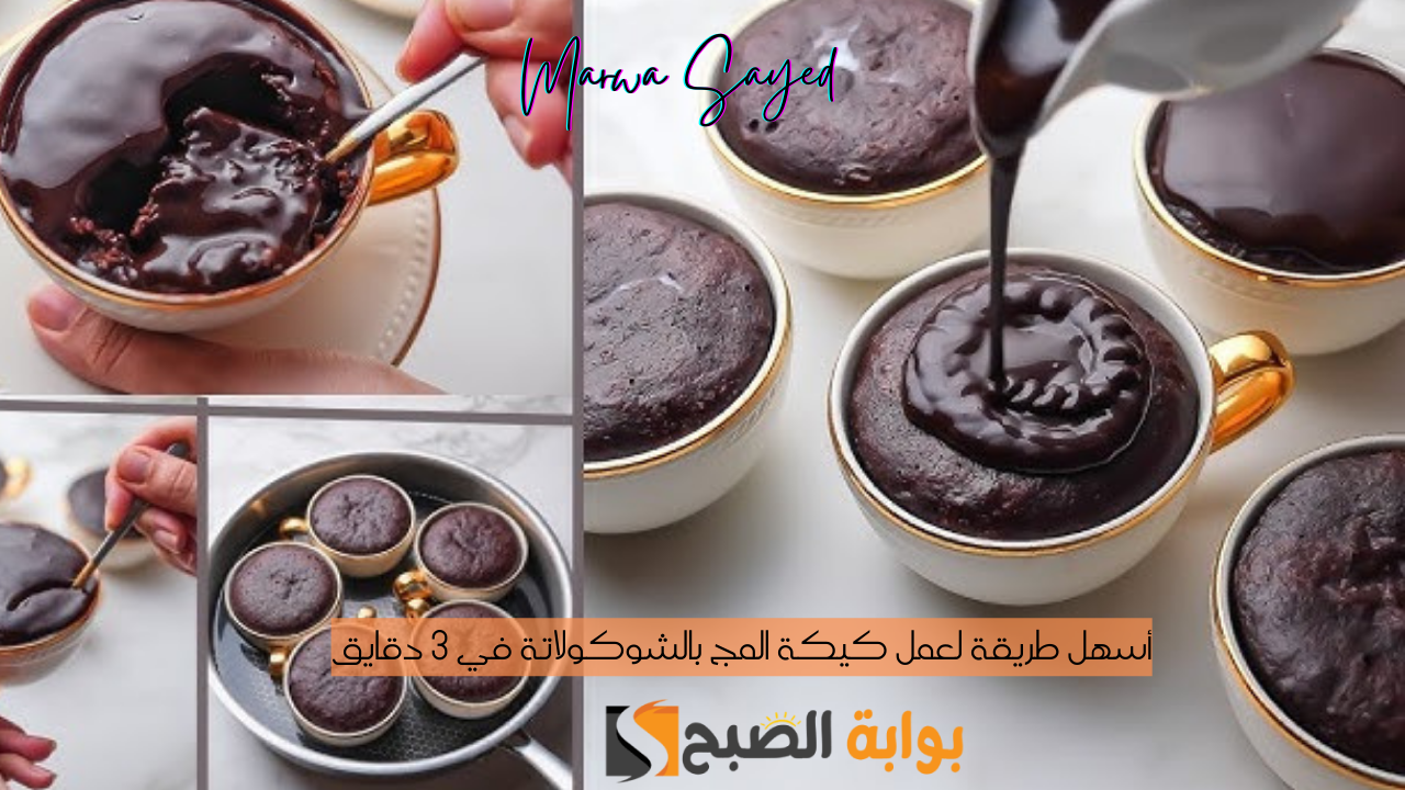 أسهل طريقة لعمل كيكة المج بالشوكولاتة في 3 دقايق