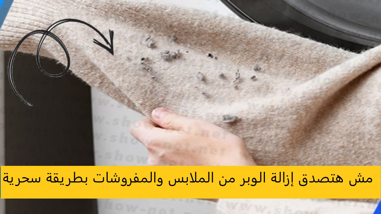 وداعًا للمعاناة.. حيلة سحرية تساعدك على ازالة الوبر من الملابس والمفروشات
