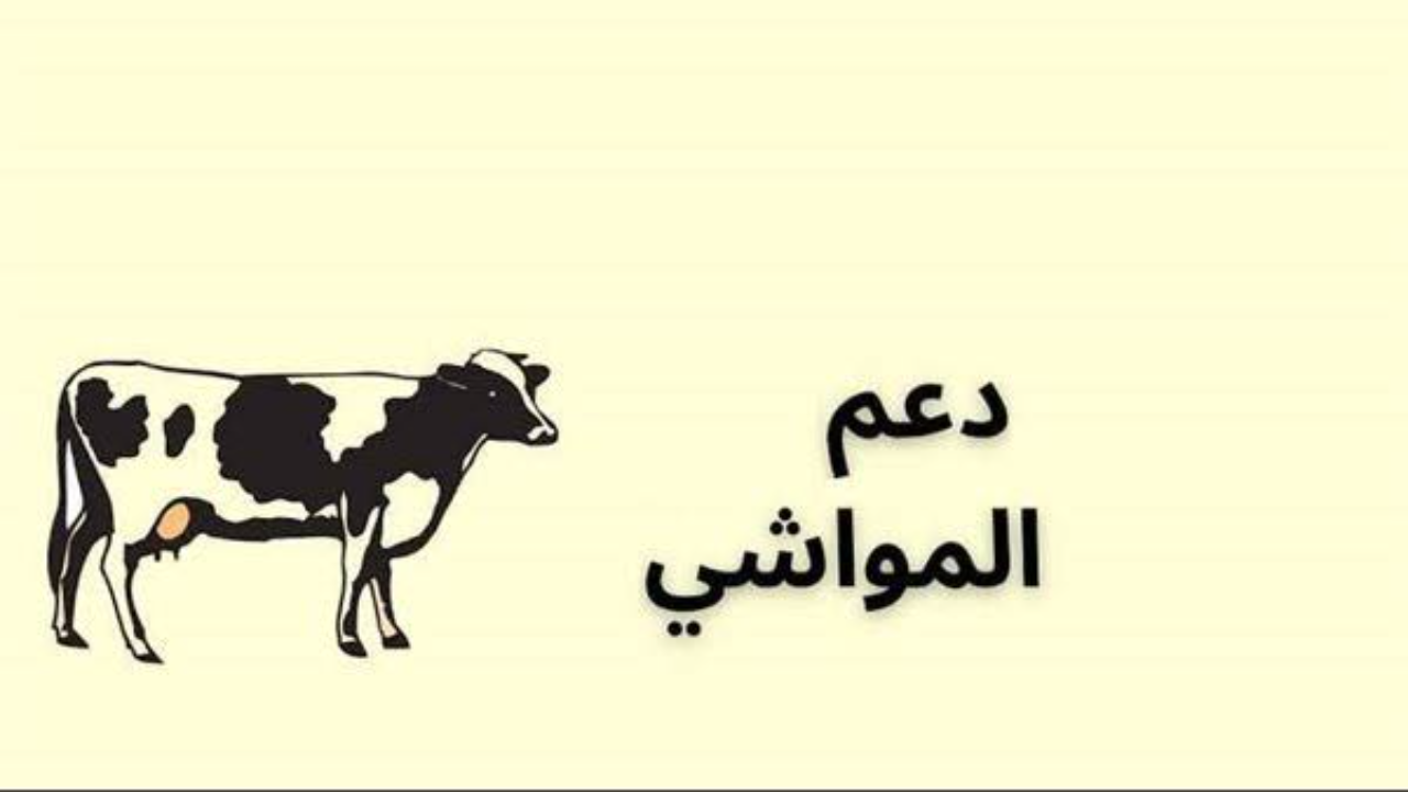 التسجيل في دعم مربي المواشي