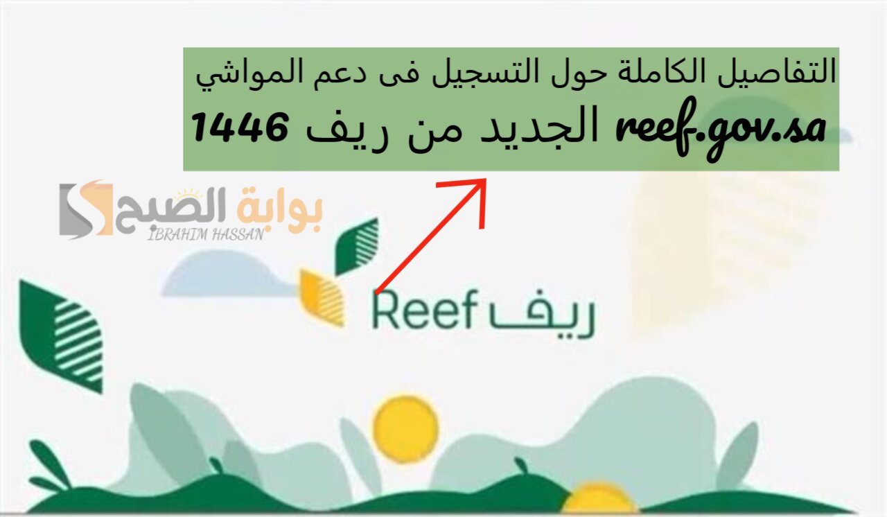 التفاصيل الكاملة حول التسجيل فى دعم المواشي الجديد من ريف 1446 reef.gov.sa