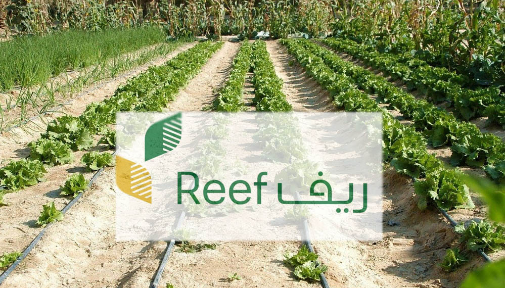 المستندات اللازمة للتقديم في دعم ريف 1446