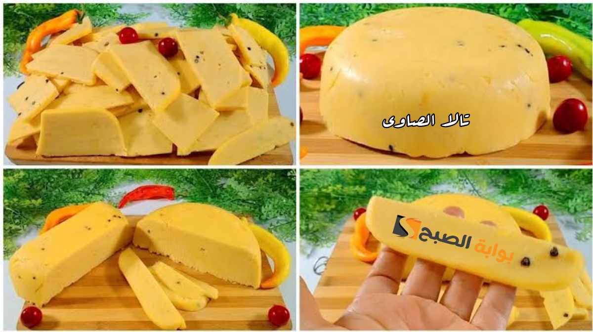 بأقل التكاليف حضري الجبن الرومي بكميات كبيرة للمصايف والمدارس
