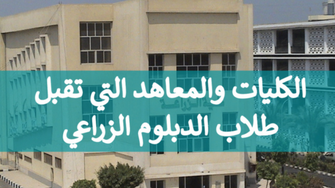 بعد إعلان نتيجة الدبلومات الفنية 2024