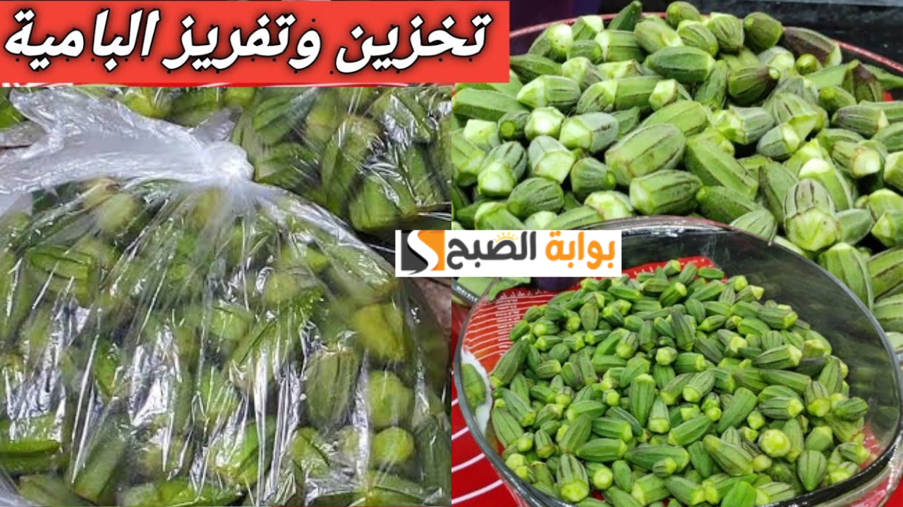 تخزين البامية