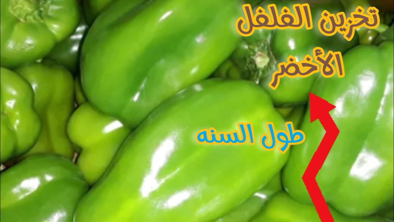 تخزين الفلفل الأخضر