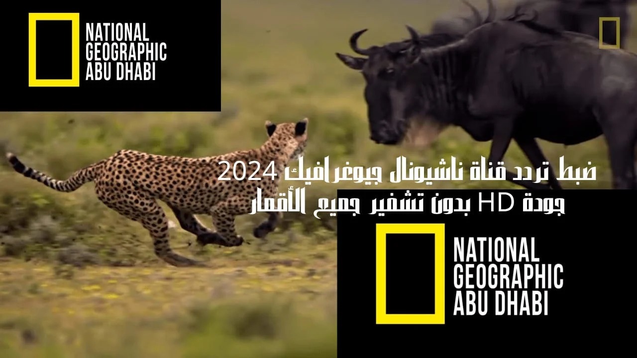 تردد قناة ناشيونال جيوغرافيك أبو ظبي 2024