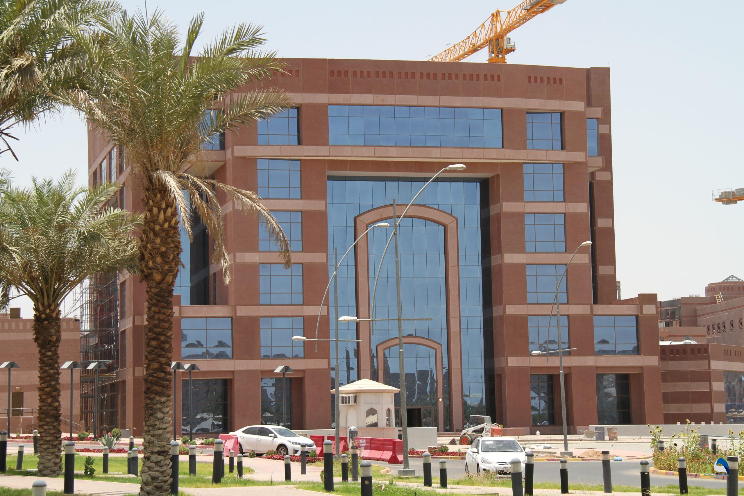 خطوات التقديم في منحة جامعة طيبة