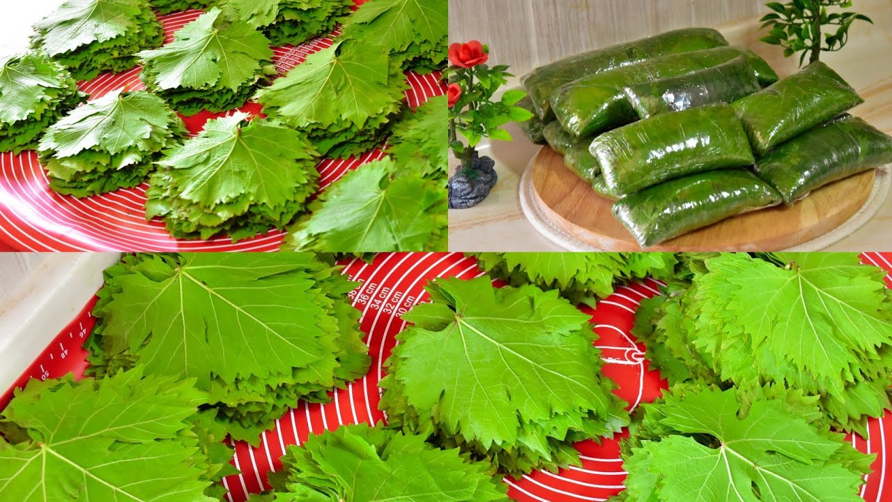 خطوات تفريز ورق العنب