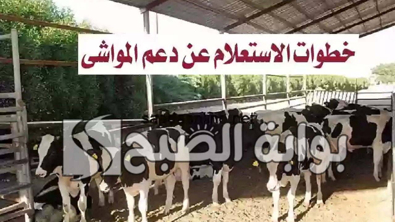 دعم المواشي الجديدة 1446