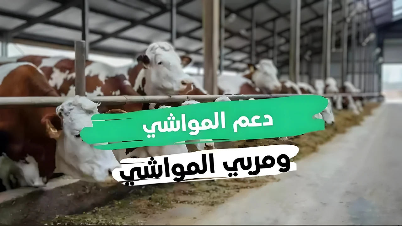دعم المواشي