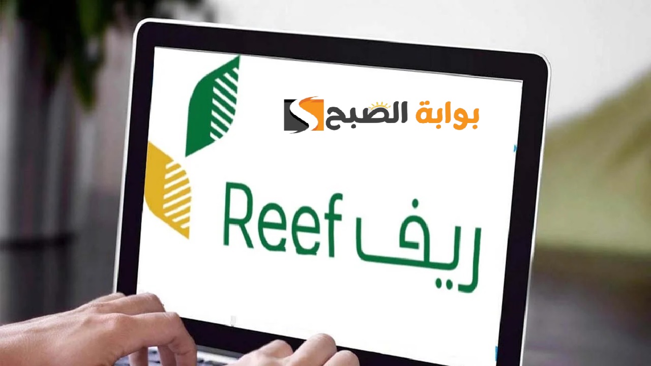 شروط دعم ريف