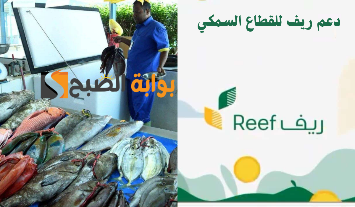 دعم ريف للقطاع السمكي