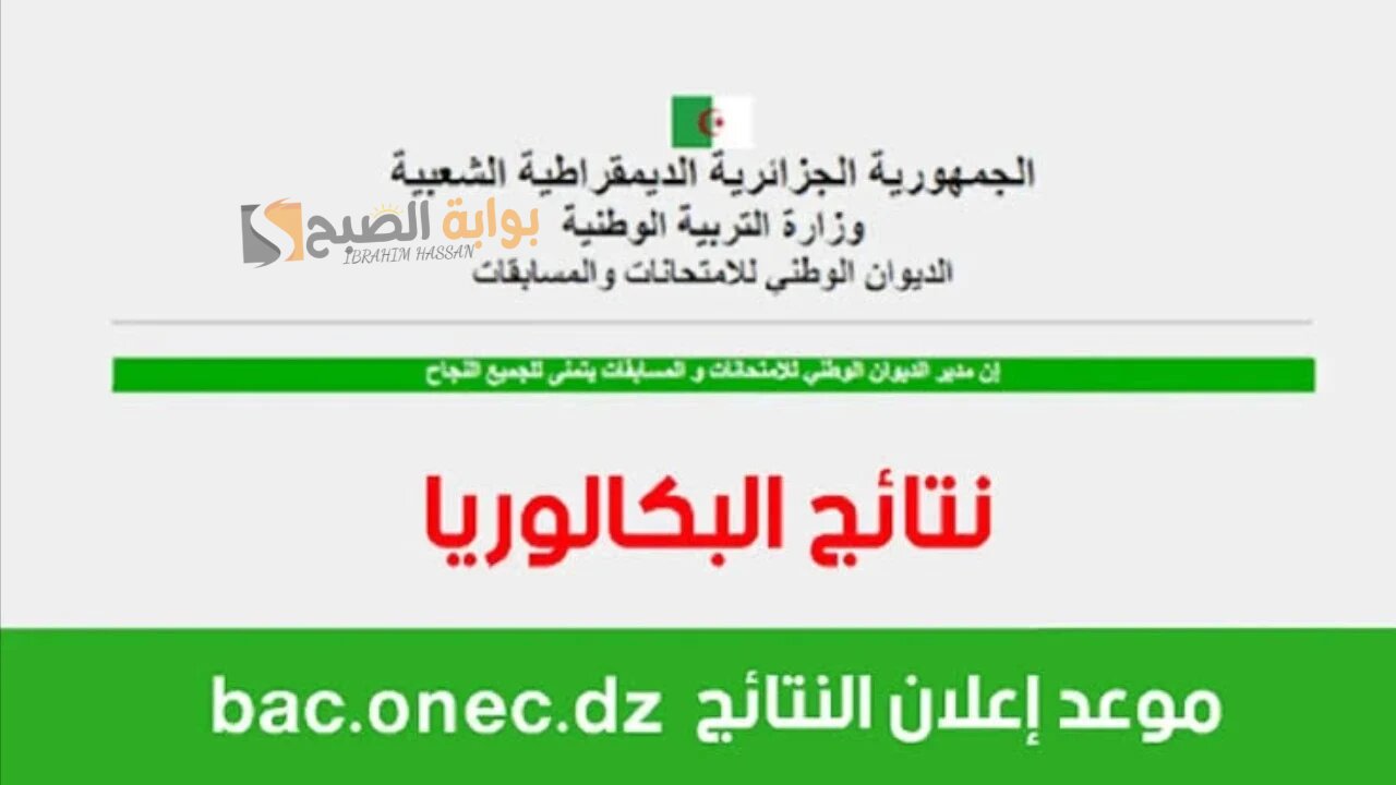 رابط مباشر.. نتائج البكالوريا الجزائر 2024 جميع الولايات education.gov.dz