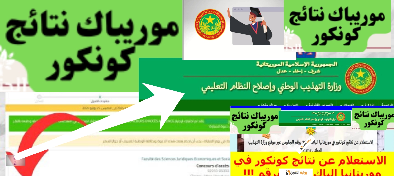رابط نتائج كونكور 2024