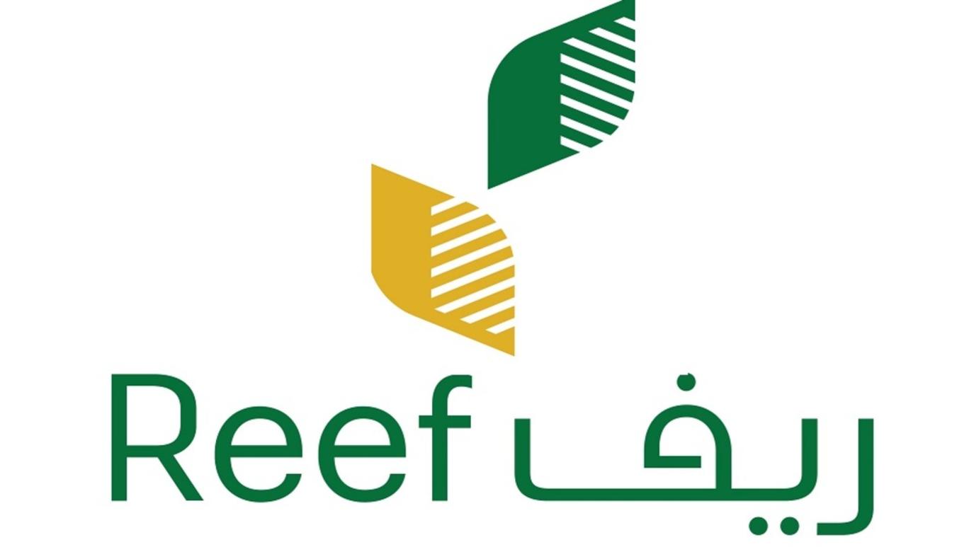 برنامج ريف
