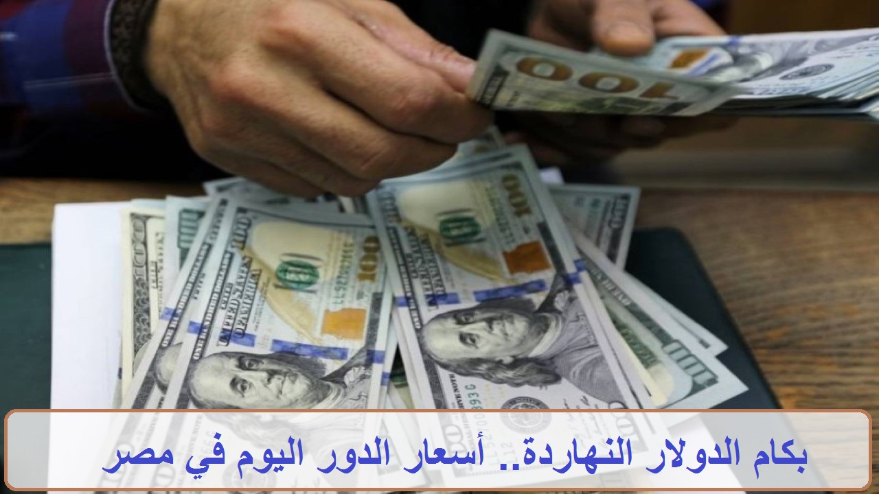 آخر سعر للدولار اليوم