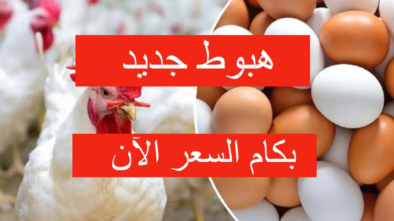 سعر الدواجن اليوم السبت