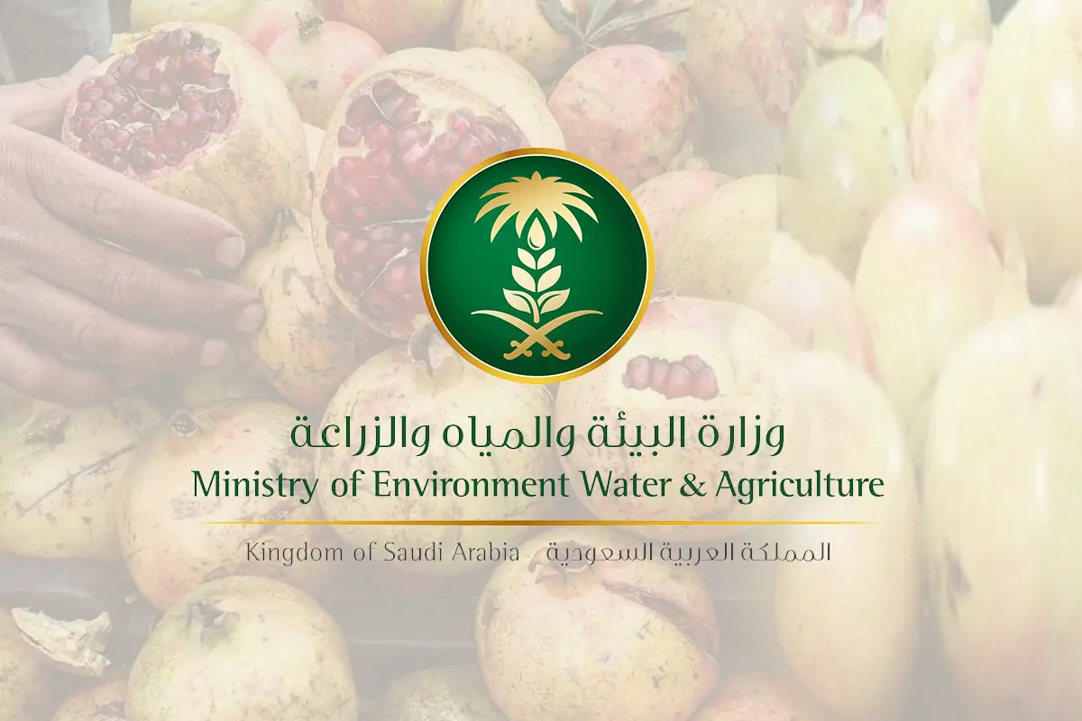 شروط دعم المواشي 1446