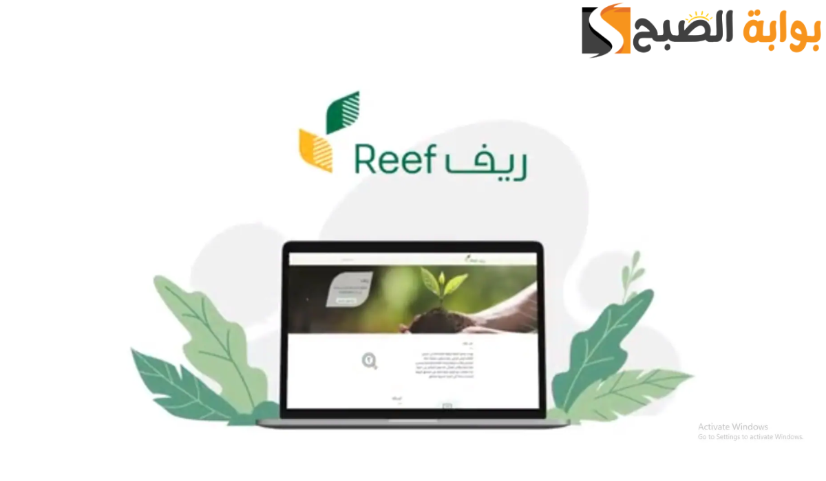 شروط الحصول على دعم ريف