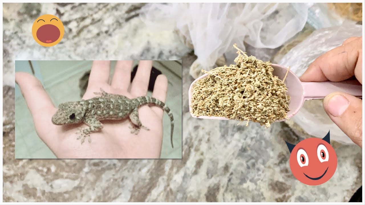 طرق طبيعية للقضاء على البرص
