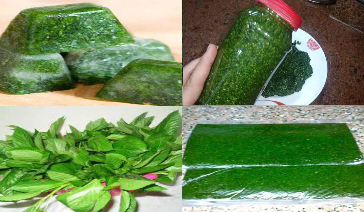 طريقة تخزين الملوخية