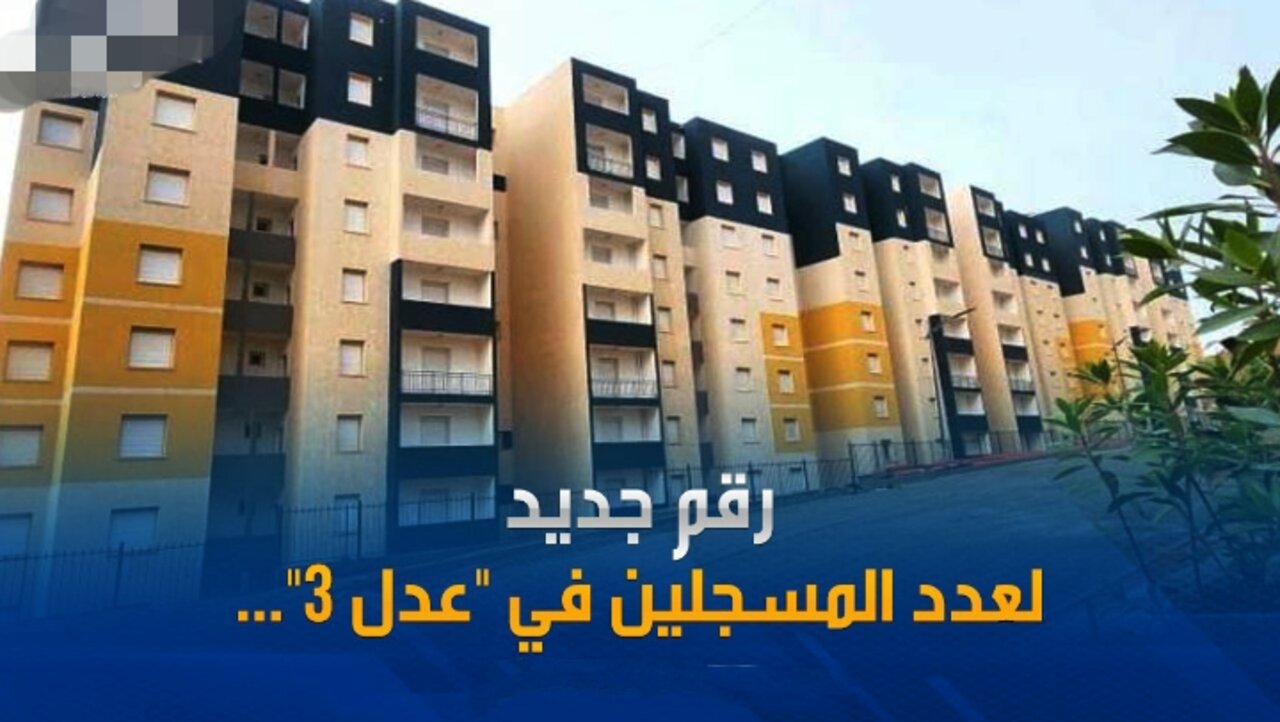 عدد المسجلين في عدل 3