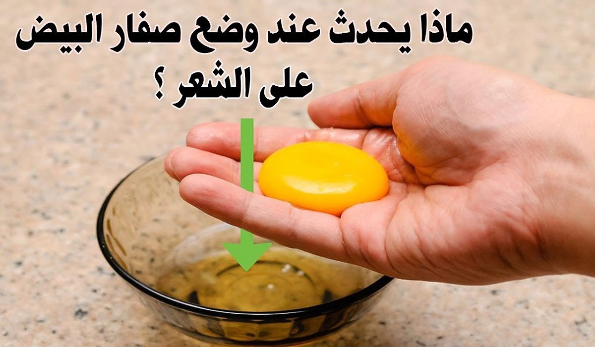 فوائد البيض للشعر