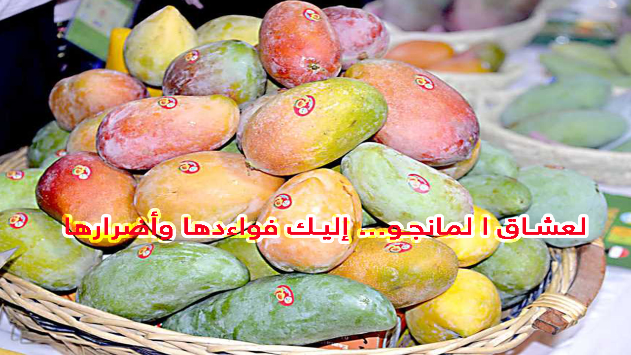 فوائد المانجو واضرارها