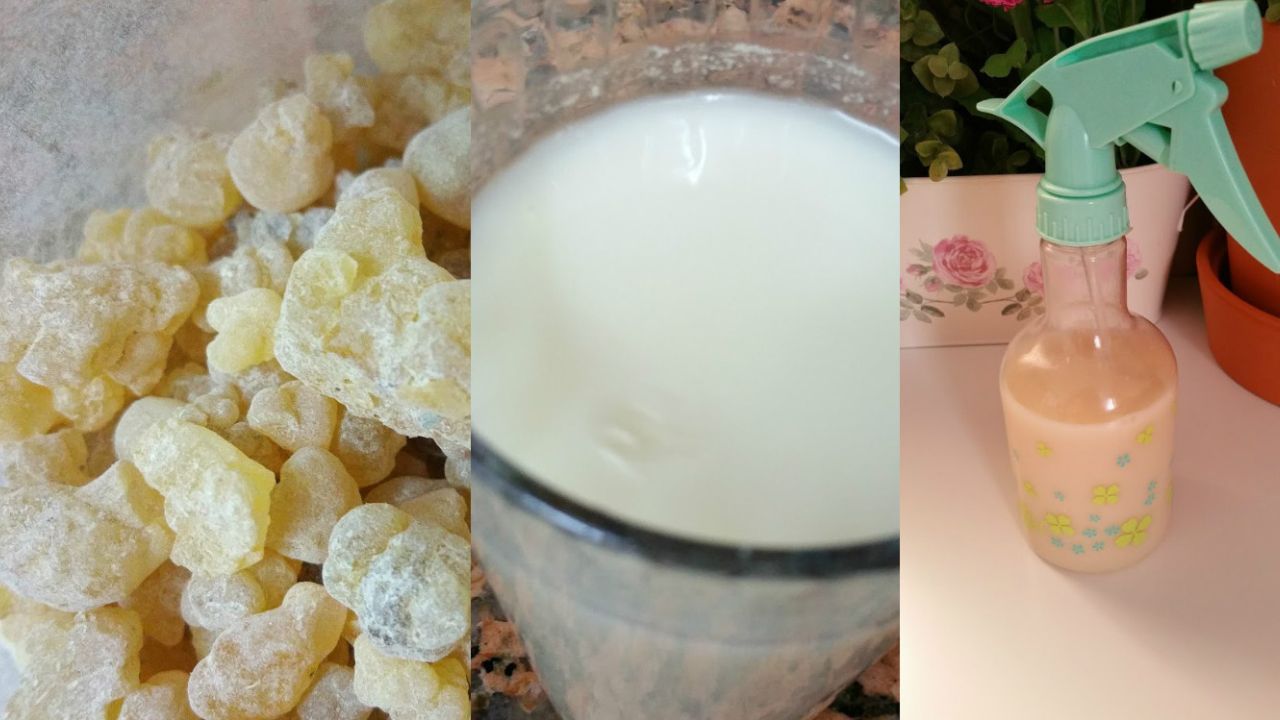 كولاجين لبان الذكر للبشرة