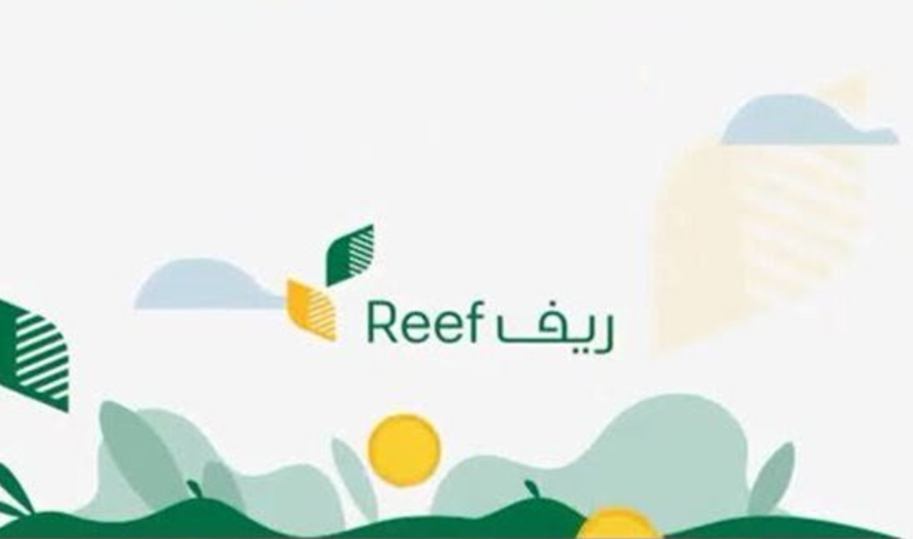 متى ينزل دعم ريف 1445
