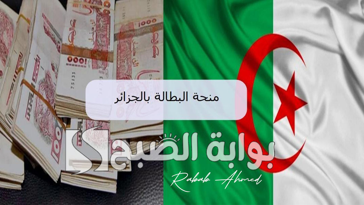 منحة البطالة 2024 الجزائر