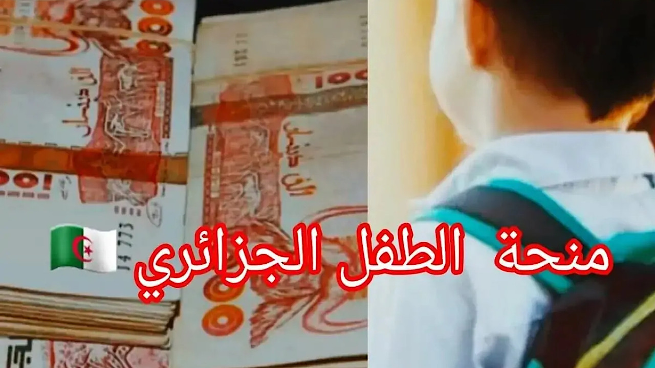 منحه الطفل في الجزائر 2024