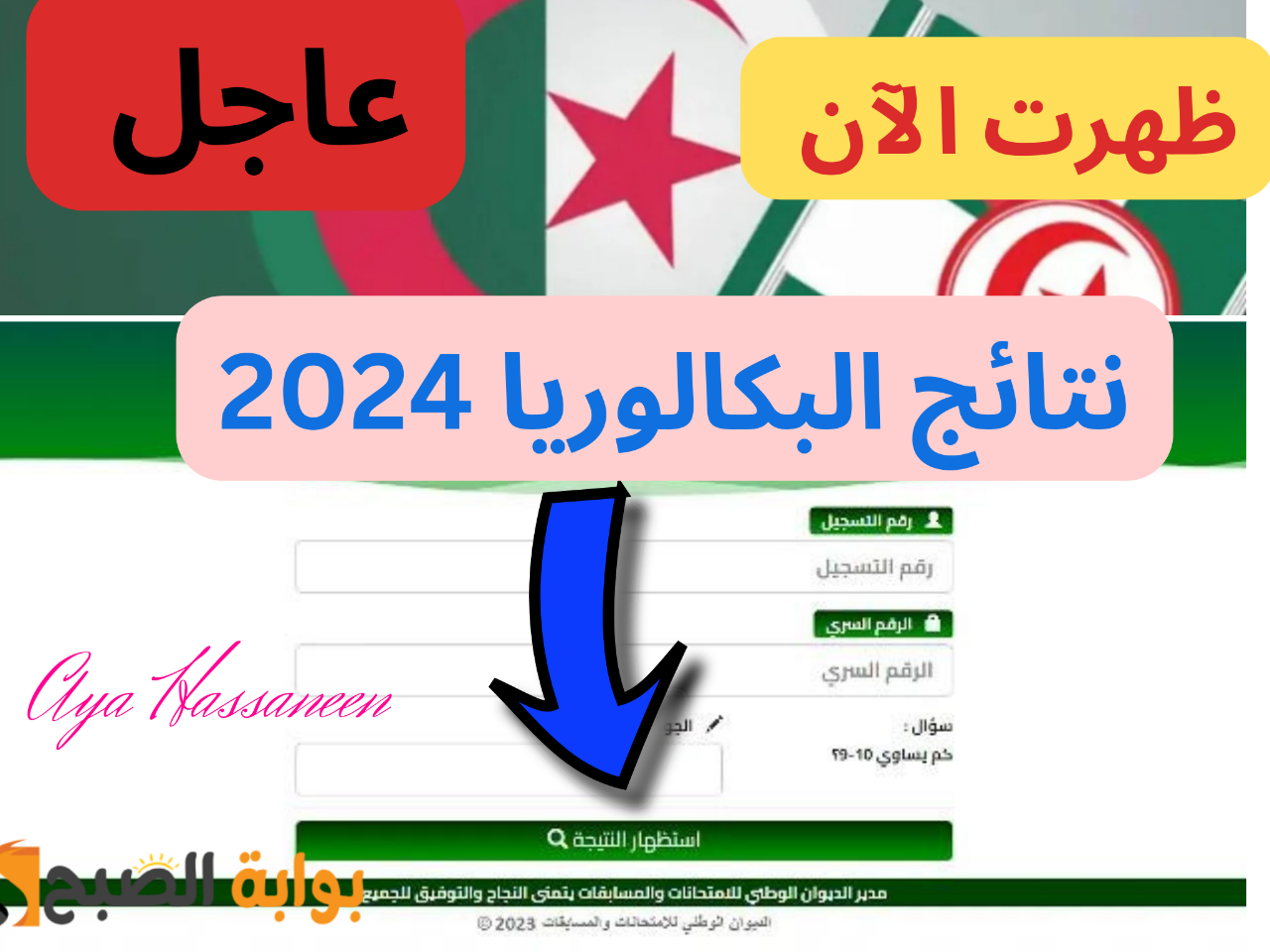 نتائج البكالوريا 2024 الجزائر