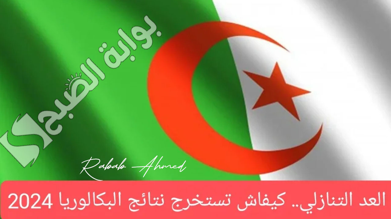 نتائج البكالوريا 2024 عموم ولايات الجزائر