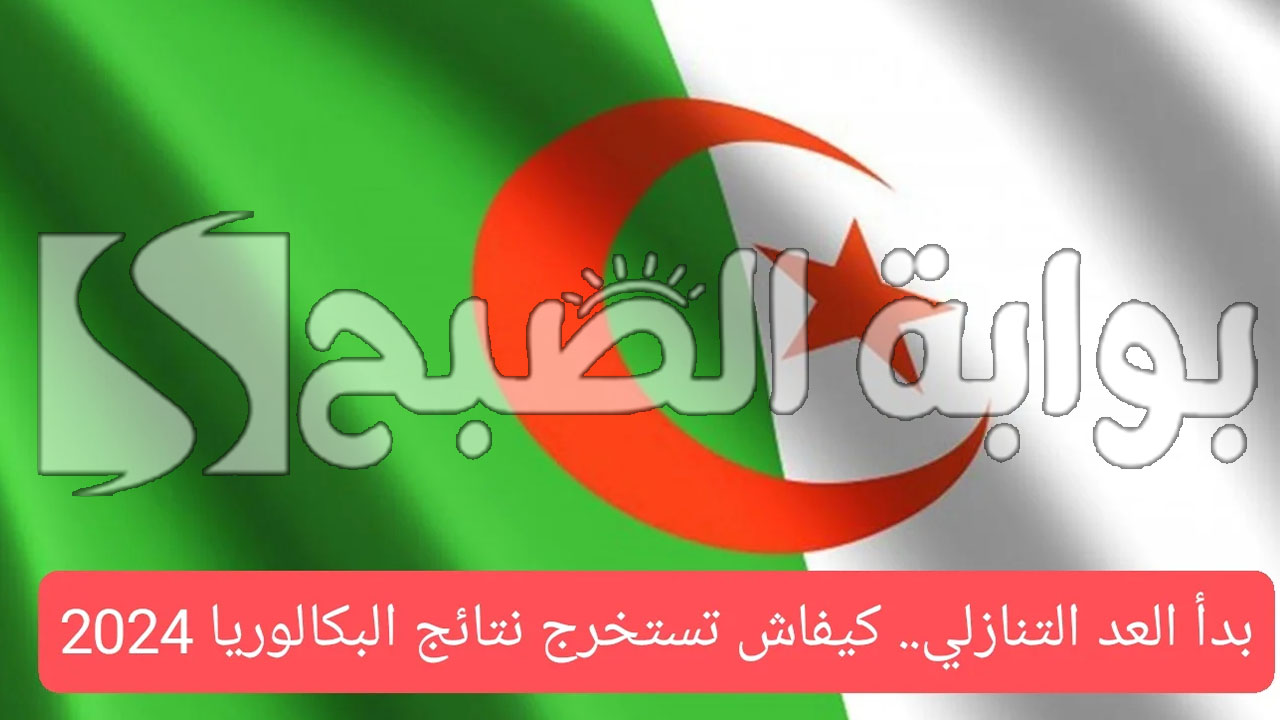 نتائج البكالوريا في الجزائر 2024