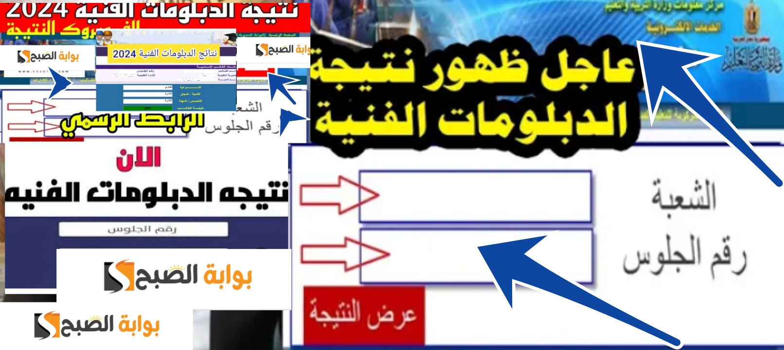 نتائج الدبلومات الفنية زراعي صناعي 2024