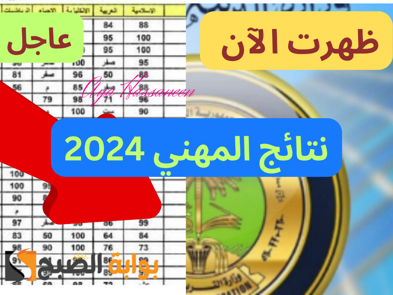نتائج المهني 2024