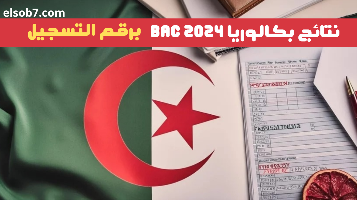 كشف نقاط شهادة البكالوريا 2024