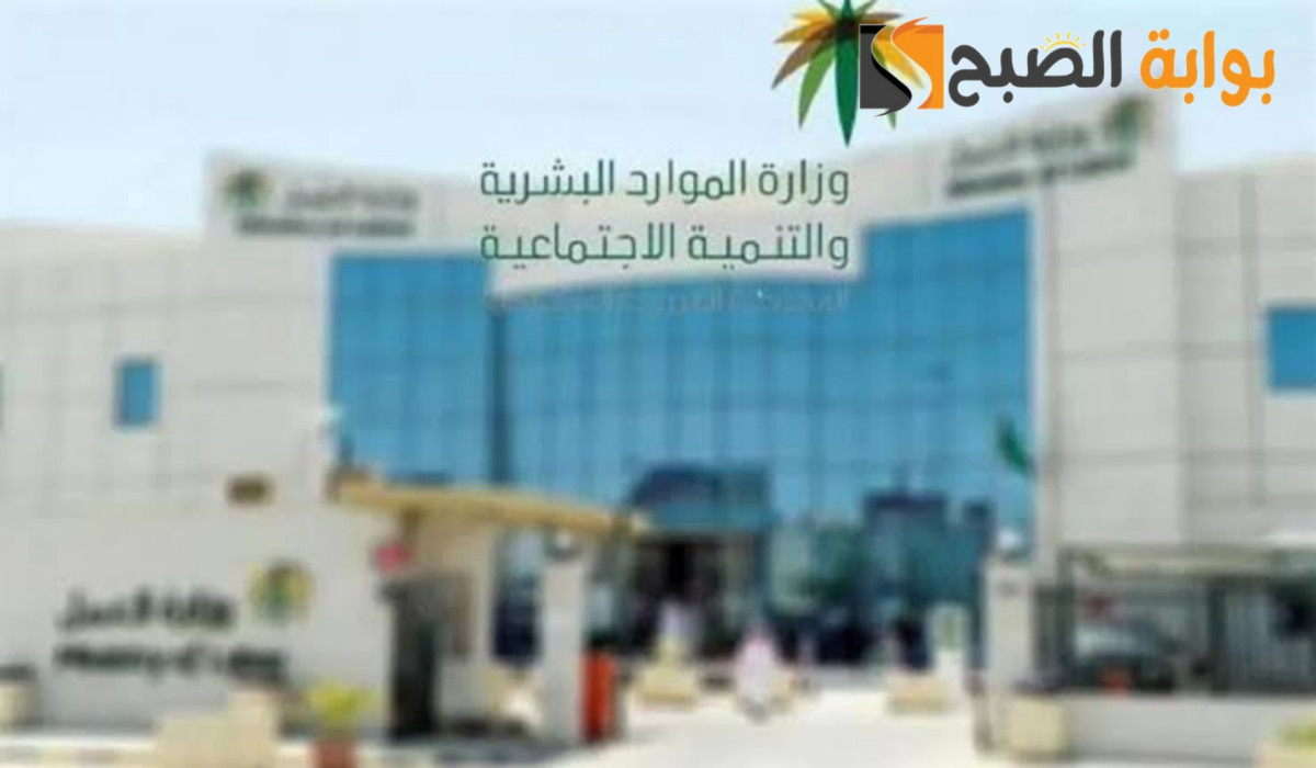 التعديلات الجديدة في نظام العمل