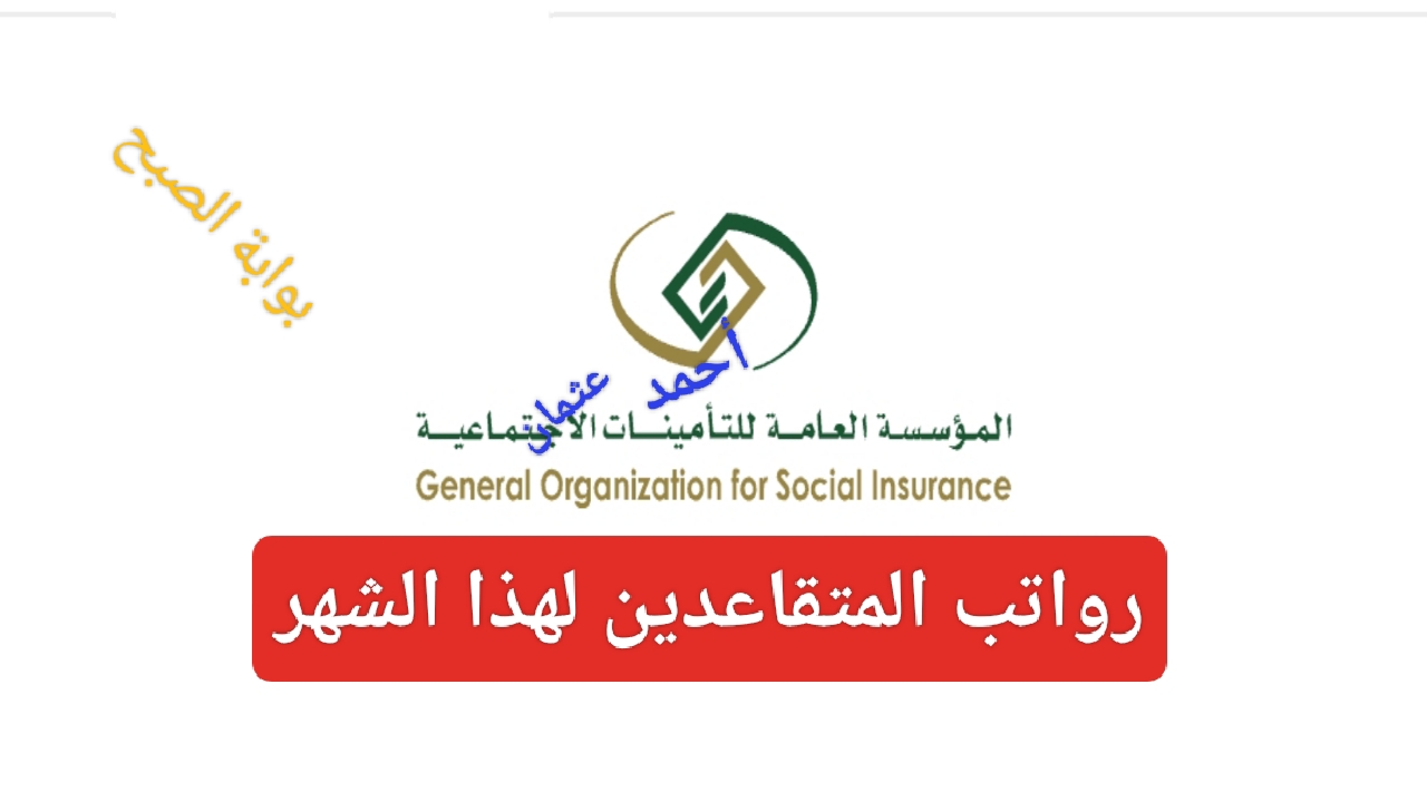 IMG ٢٠٢٤٠٨٠١ ٢٠٤٣٣٣