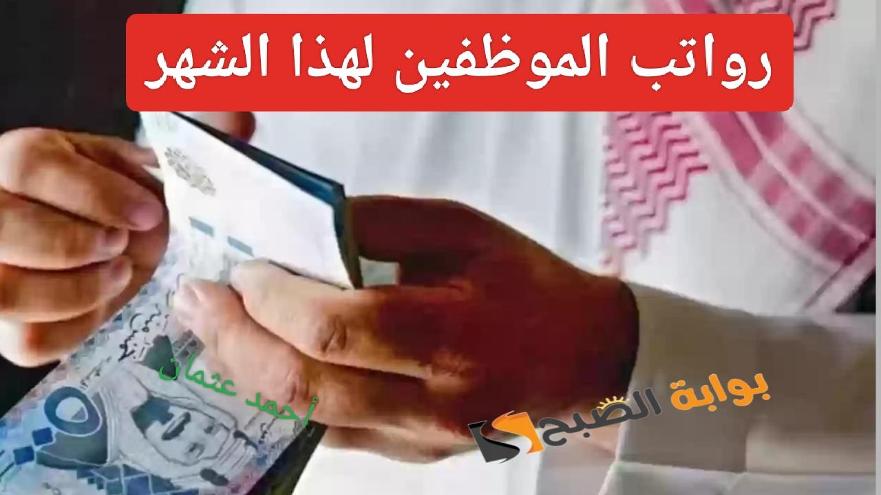 IMG ٢٠٢٤٠٨٢٦ ١١٥٣٥٩